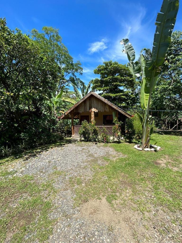 Ballena Oasis Homes & Glamping Uvita Dış mekan fotoğraf