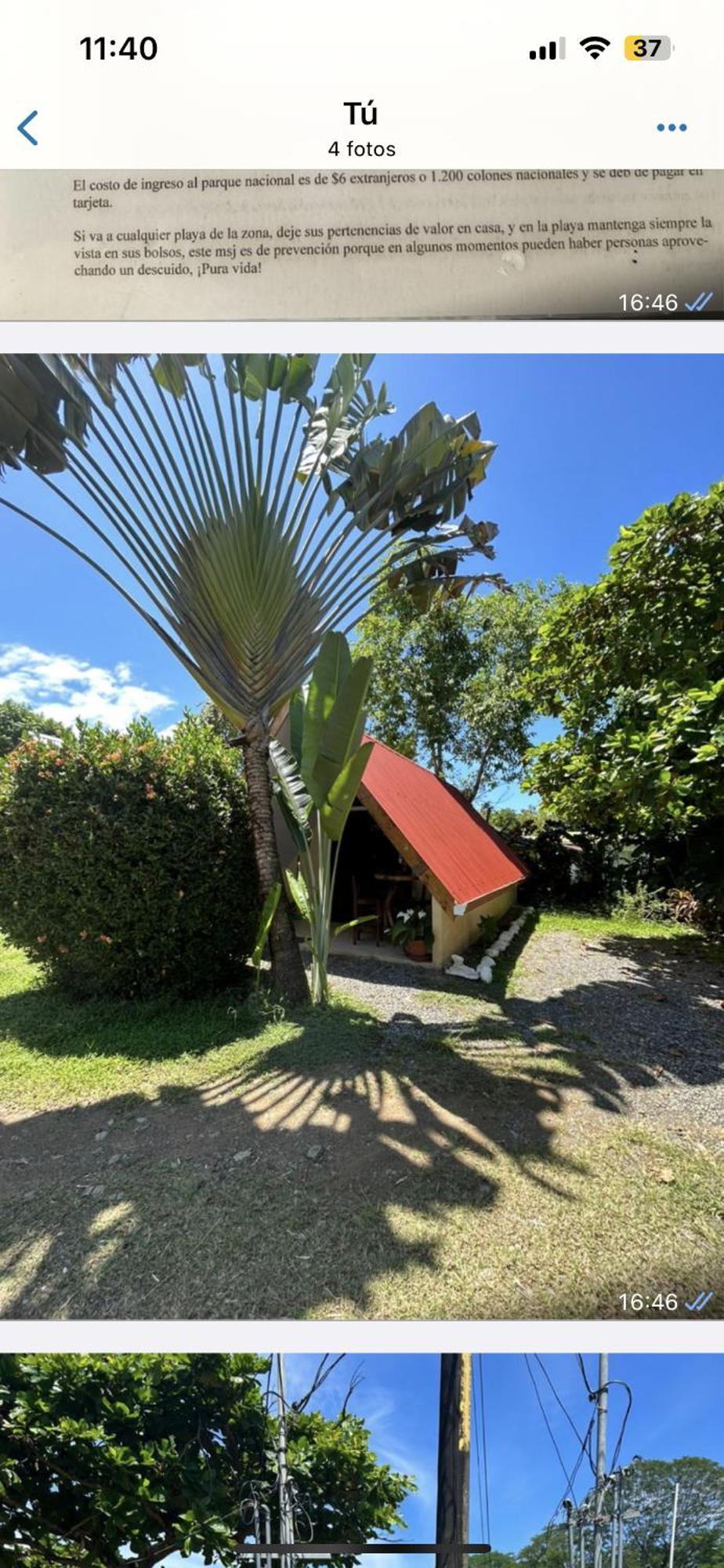 Ballena Oasis Homes & Glamping Uvita Dış mekan fotoğraf