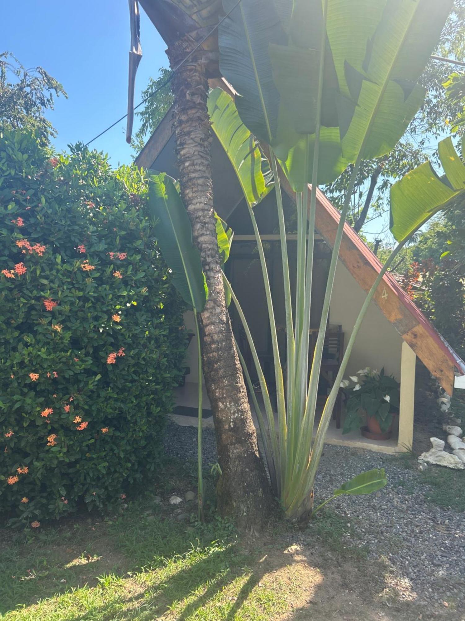 Ballena Oasis Homes & Glamping Uvita Dış mekan fotoğraf