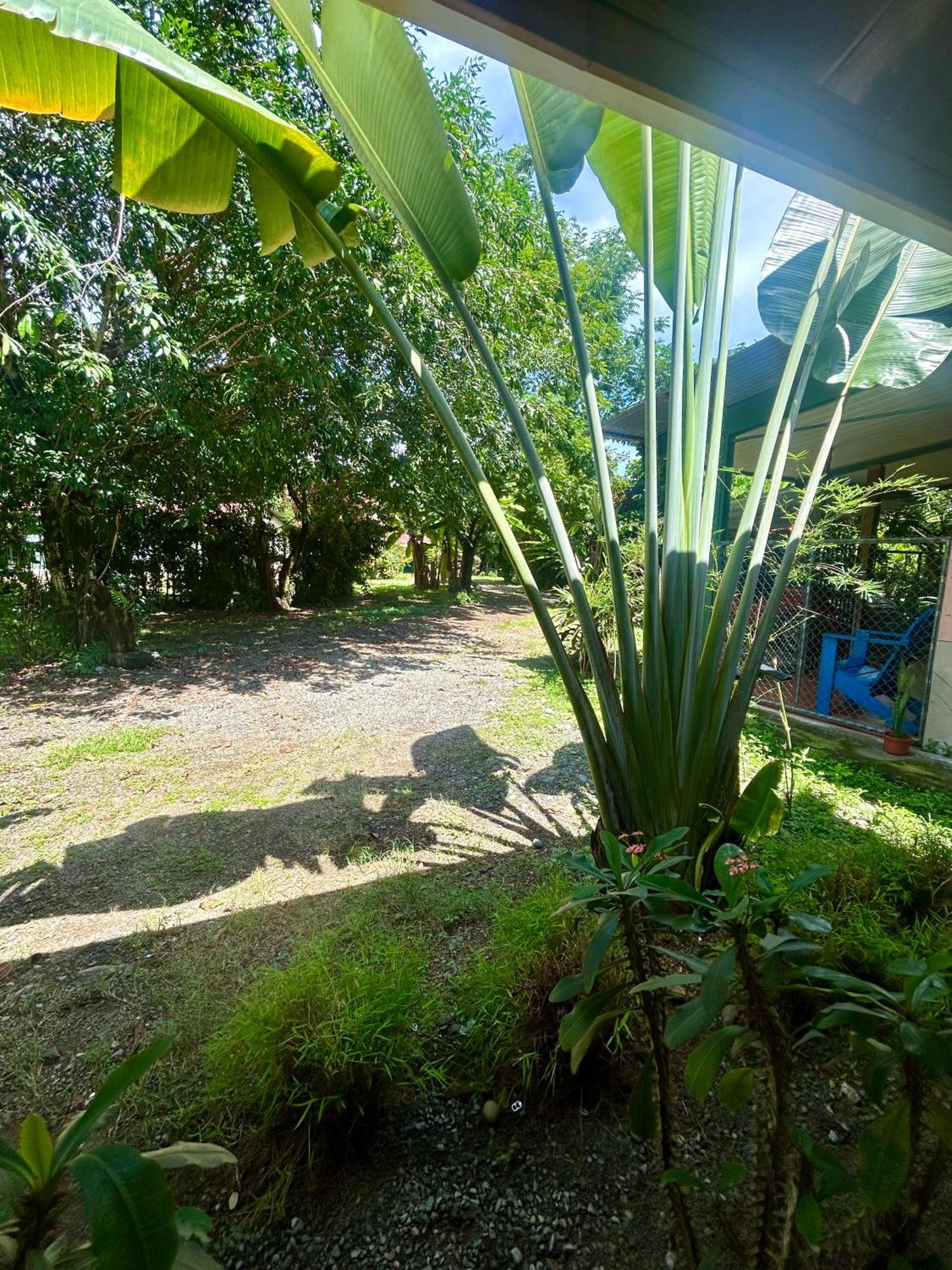 Ballena Oasis Homes & Glamping Uvita Dış mekan fotoğraf
