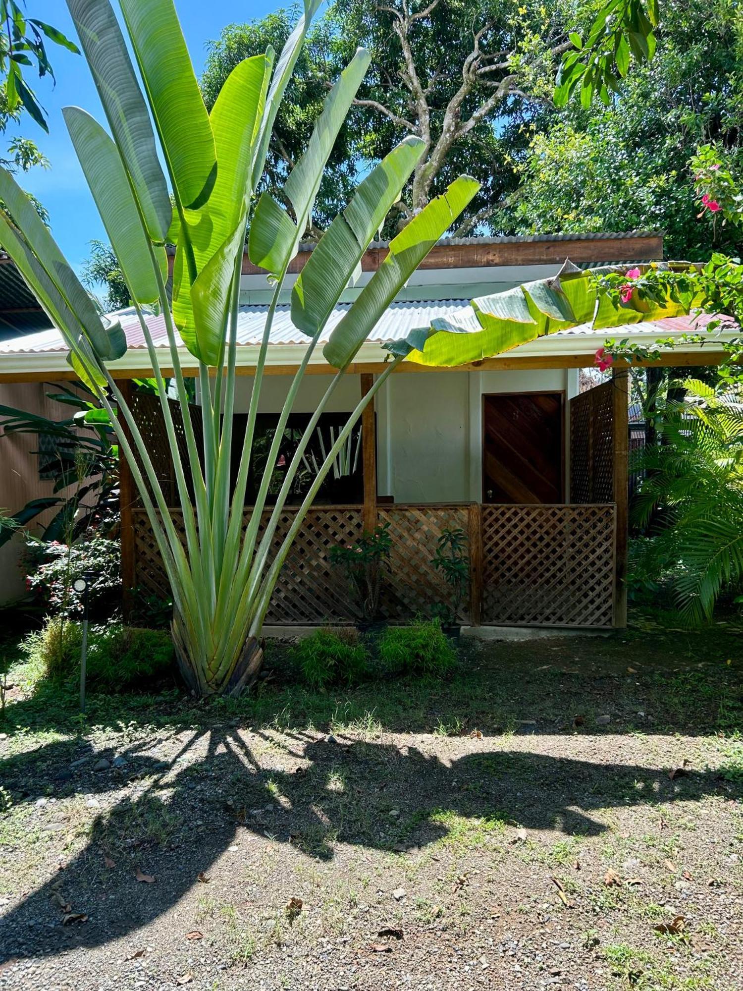 Ballena Oasis Homes & Glamping Uvita Dış mekan fotoğraf
