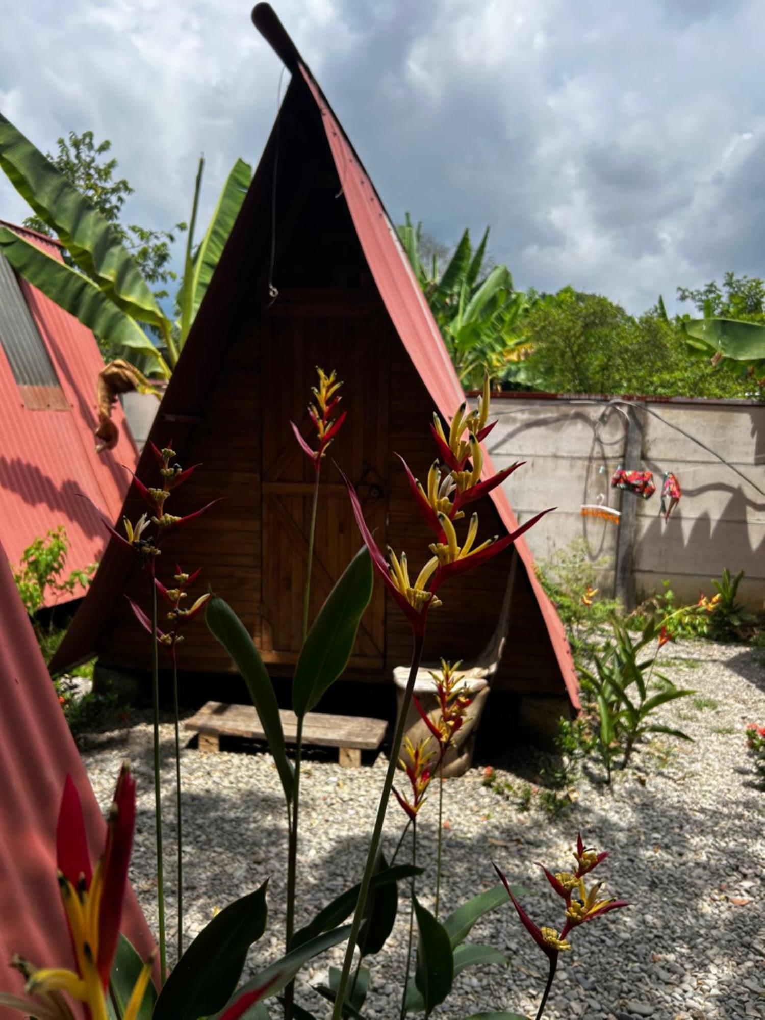 Ballena Oasis Homes & Glamping Uvita Dış mekan fotoğraf